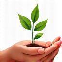 Intertwined hands holding a small green plant sprout, symbolizing community and environmental impact